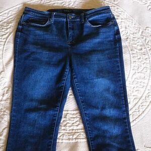Judy Blue Dark Wash Skinny Jeans